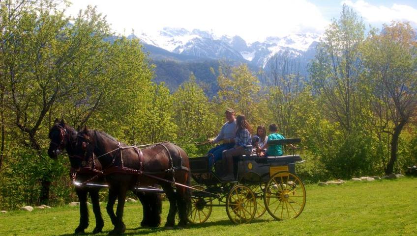 Gita in carrozza immersi nella natura
